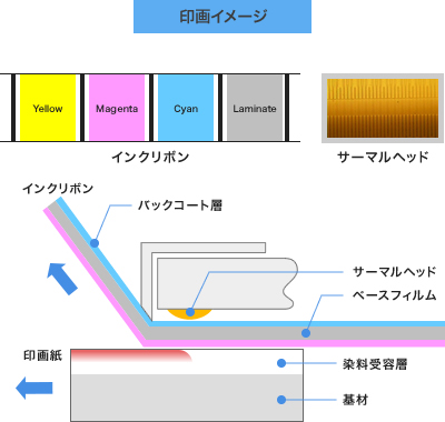 印画イメージ