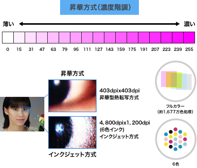 昇華方式(濃度階調)